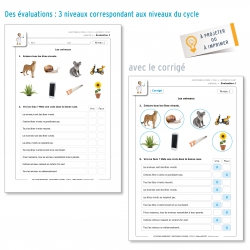 LES LEÇONS NUMÉRIQUES QUESTIONNER LE MONDE