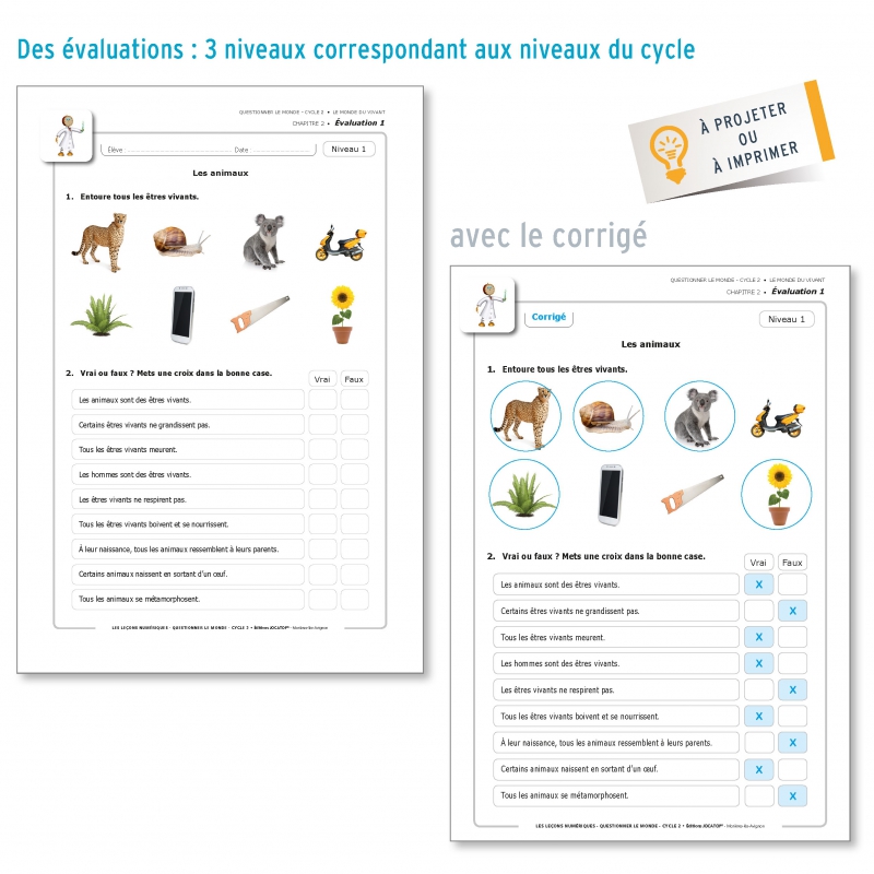 LES LEÇONS NUMÉRIQUES QUESTIONNER LE MONDE