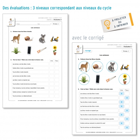LES LEÇONS NUMÉRIQUES QUESTIONNER LE MONDE