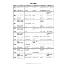 Sommaire Rallyes français – Conjugaison, grammaire, orthographe, vocabulaire – CE2 – Classeur photocopiable