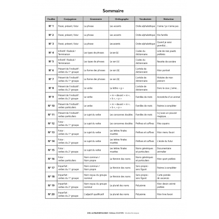 Sommaire Rallyes français – Conjugaison, grammaire, orthographe, vocabulaire – CE2 – Classeur photocopiable