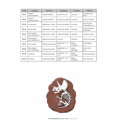 Sommaire Rallyes français – Conjugaison, grammaire, orthographe, vocabulaire – CE2 – Classeur photocopiable