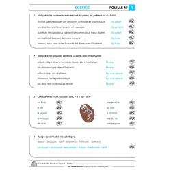 Fiche exercices avec corrigés Rallyes français – Conjugaison, grammaire, orthographe, vocabulaire – CE2 – Classeur photocopiable