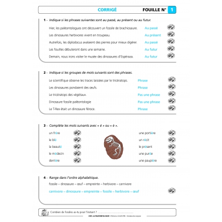 Fiche exercices avec corrigés Rallyes français – Conjugaison, grammaire, orthographe, vocabulaire – CE2 – Classeur photocopiable