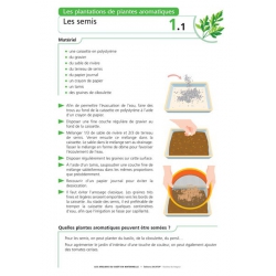 Exemple de fiche pratique