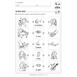 Exemple de fiche élève