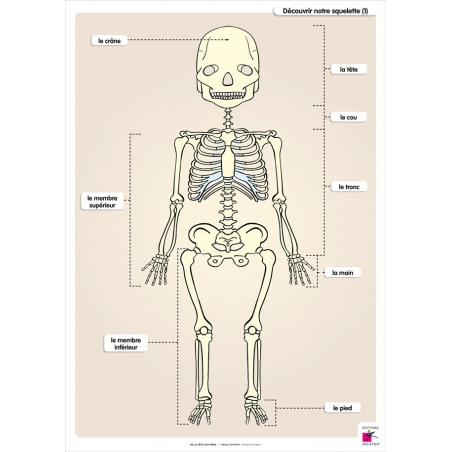 Exemple de tableau (32 x 45 cm)