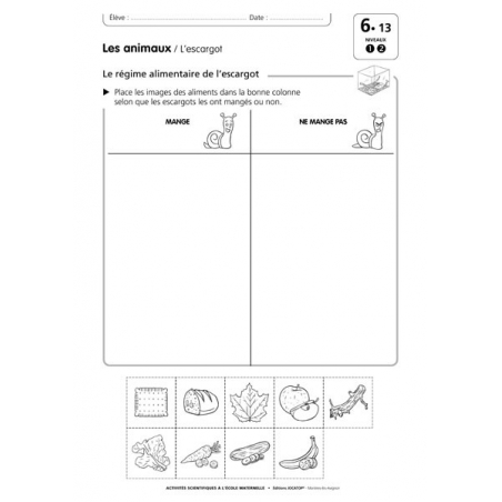 Exemple de fiche élève