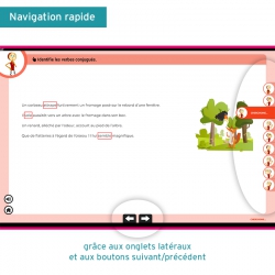 Les Leçons Numériques de Grammaire
