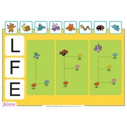 Timothée • Les lettres capitales