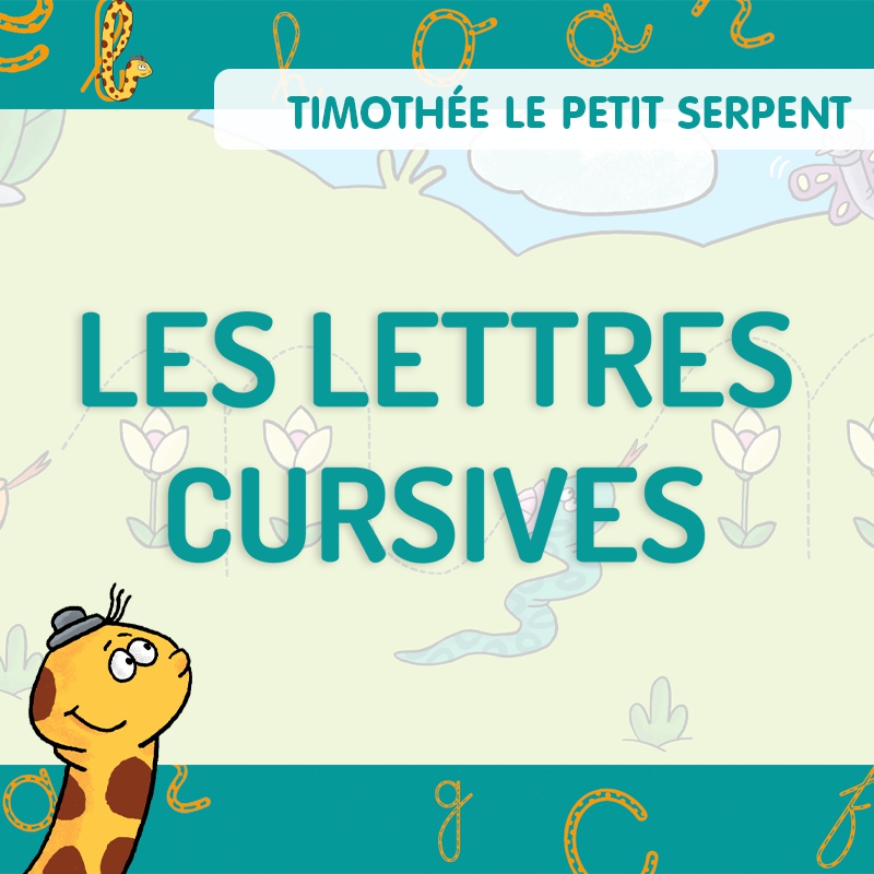 Timothée • Les lettres cursives