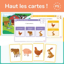 Structurer sa pensée – Premiers outils mathématiques – PS – Mallette pédagogique "Haut les cartes !" – JOCATOP
