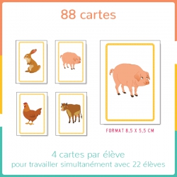 Structurer sa pensée – Premiers outils mathématiques – PS – Mallette pédagogique "Haut les cartes !" – JOCATOP