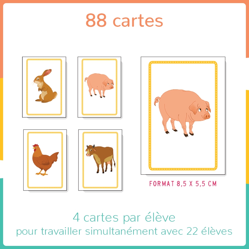 Structurer sa pensée – Premiers outils mathématiques – PS – Mallette pédagogique "Haut les cartes !" – JOCATOP