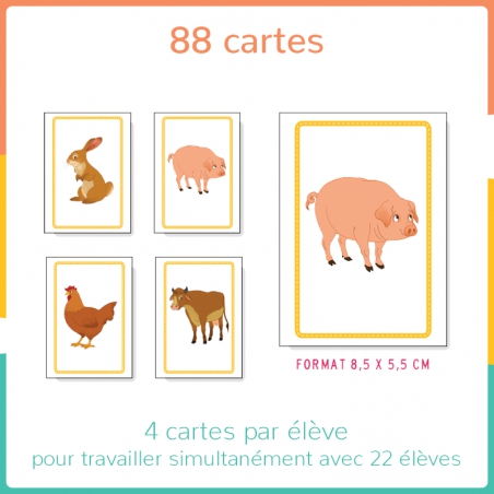 Structurer sa pensée – Premiers outils mathématiques – PS – Mallette pédagogique "Haut les cartes !" – JOCATOP