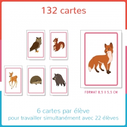Structurer sa pensée – Mathématiques – MS – Mallette pédagogique Haut les cartes ! – JOCATOP