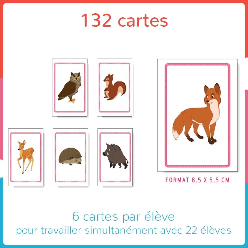 Structurer sa pensée – Mathématiques – MS – Mallette pédagogique Haut les cartes ! – JOCATOP