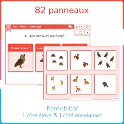 Structurer sa pensée – Mathématiques – MS – Mallette pédagogique Haut les cartes ! – JOCATOP