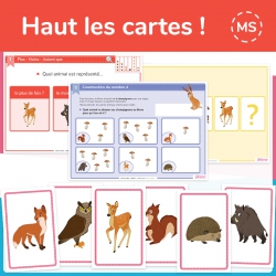 Structurer sa pensée – Mathématiques – MS – Mallette pédagogique Haut les cartes ! – JOCATOP