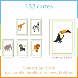 Structurer sa pensée – Mathématiques – Grande Section – Mallette pédagogique Haut les cartes ! – Jocatop