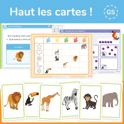 Structurer sa pensée – Mathématiques – Grande Section – Mallette pédagogique Haut les cartes ! – Jocatop