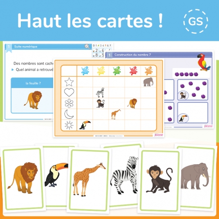 Structurer sa pensée – Mathématiques – Grande Section – Mallette pédagogique Haut les cartes ! – Jocatop
