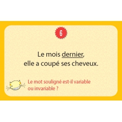 Le roi de la grammaire