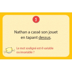 Le roi de la grammaire