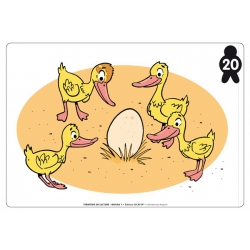 Exemple de flashcard