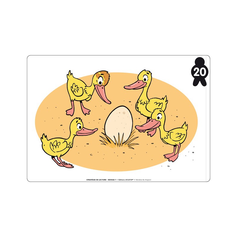 Exemple de flashcard