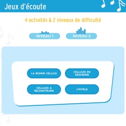 Apprendre le rythme et développer la motricité – Éducation musicale & artistique – Maternelle (PS, MS, GS) & CP