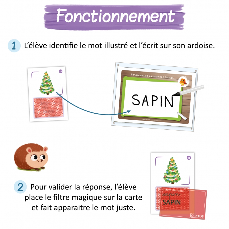 Orthographe – Français – CP / CE1 / CE2 – Jeu pédagogique – JOCATOP