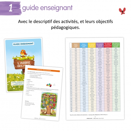 Orthographe – Français – CP / CE1 / CE2 – Jeu pédagogique – JOCATOP