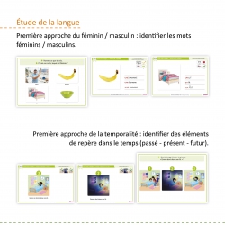 Mes défis de langage – Ressources pédagogiques Grande Section Maternelle