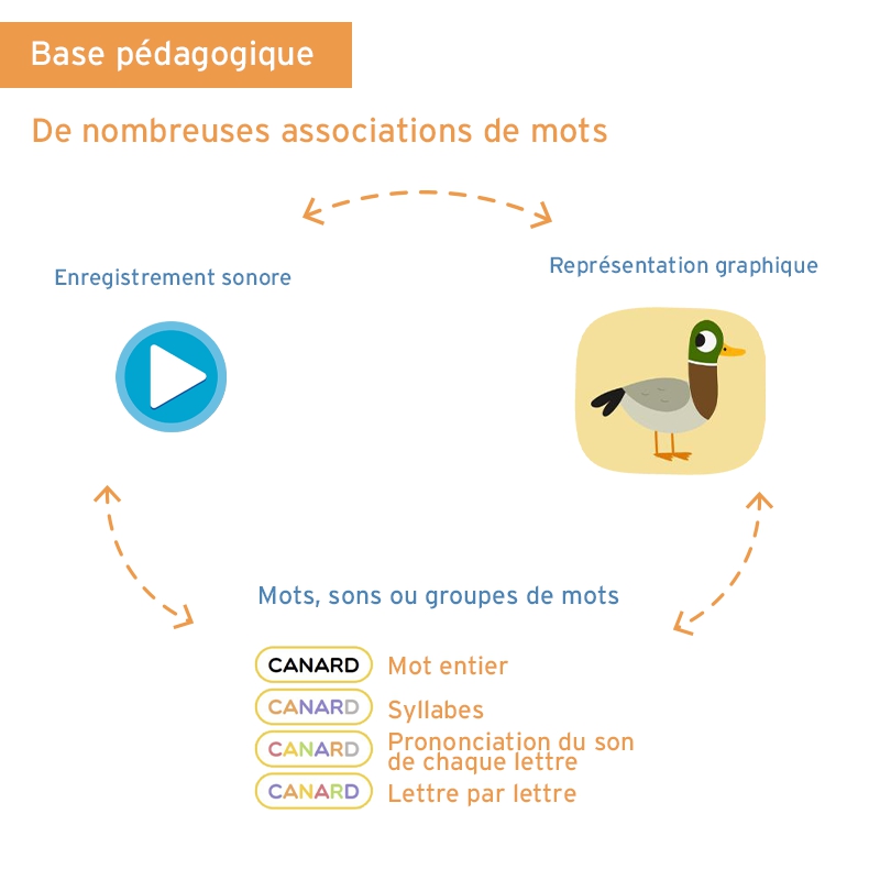 Découvrir la composition des mots – Lecture & décodage – CP & CE1 – Application interactive pédagogique – JOCATOP