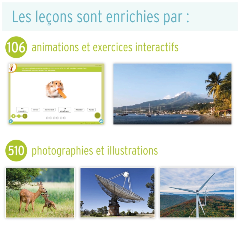 Sciences 2 • Les Leçons Interactives • Cycle 3