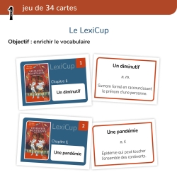 Des photos inquiétantes – Compréhension et étude littéraire – CM1/CM2 – Dossier pédagogique – JOCATOP