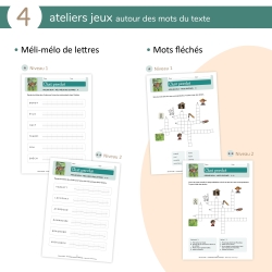 Les aventures de Pirate et Moustique – Développer la compréhension en lecture – CE1 – Fichier pédagogique – JOCATOP