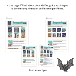 Les aventures de Pirate et Moustique - Niveau 3 - Fichier pédagogique