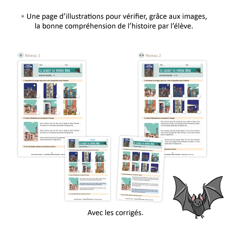 Les aventures de Pirate et Moustique - Niveau 3 - Fichier pédagogique