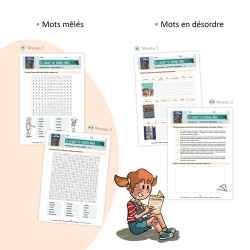 Les aventures de Pirate et Moustique - Niveau 3 - Fichier pédagogique