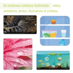 Les leçons interactives de sciences – CP – Ressources pour enseigner les sciences