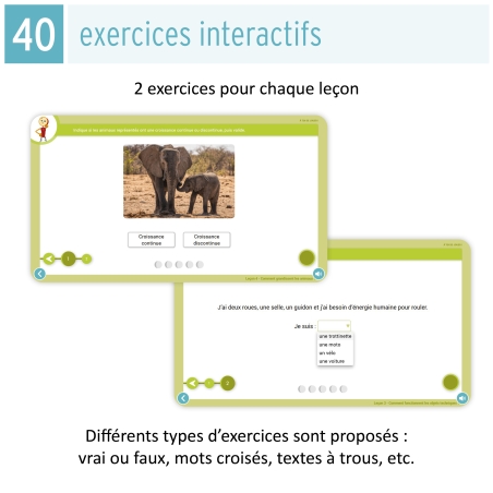 Les leçons interactives de sciences – CP – Ressources pour enseigner les sciences