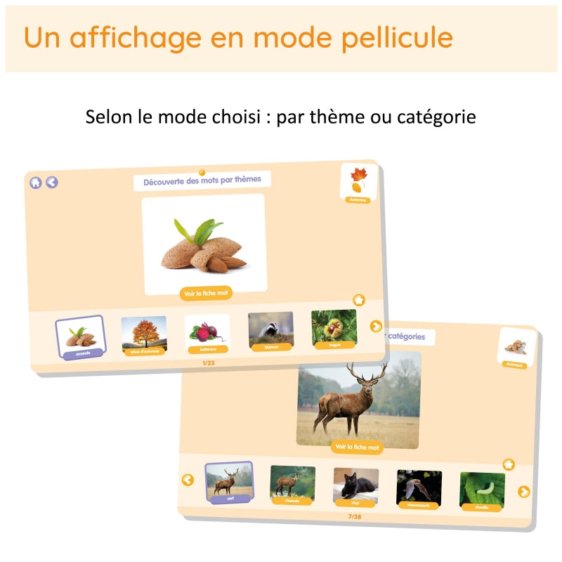 Motissimo – Enrichir le vocabulaire, développer le langage cycles 1 et 2