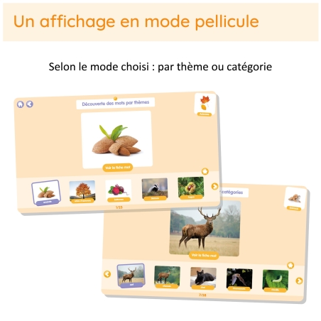 Motissimo – Enrichir le vocabulaire, développer le langage cycles 1 et 2