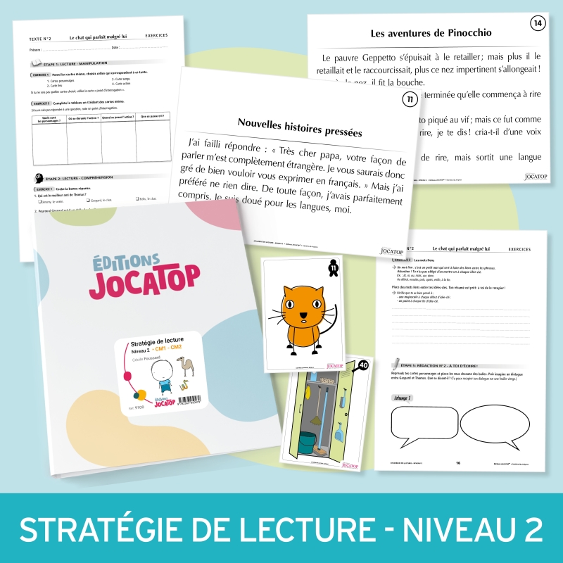 Stratégie de lecture • Niveau 2