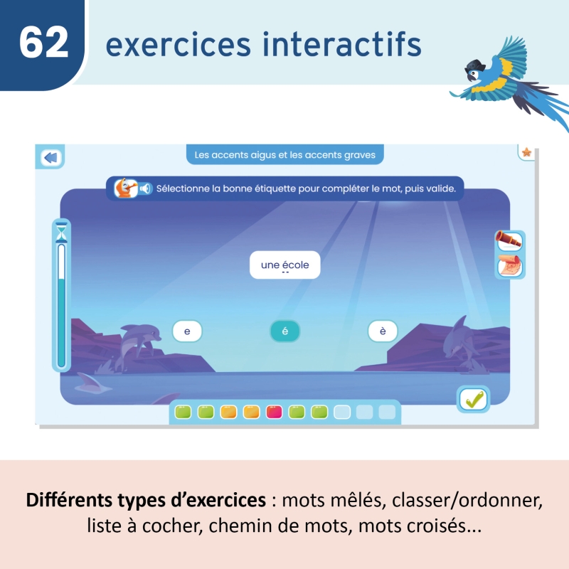 Étude de la langue – Français – CE2 – Application interactive