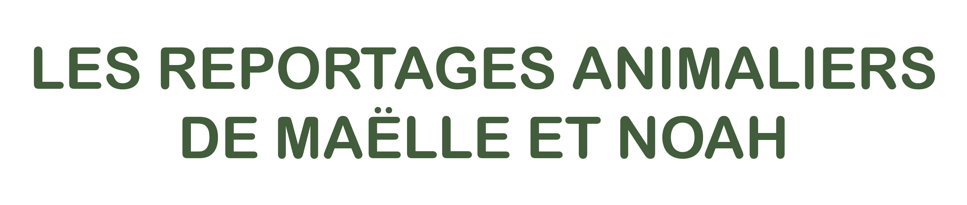 rallye mathematiques-reportages-animaliers