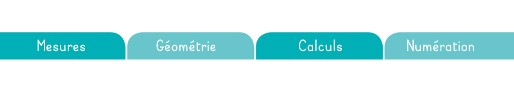 Numération, calculs, géométrie et mesures, les domaines de Mon petit mémo de maths CP