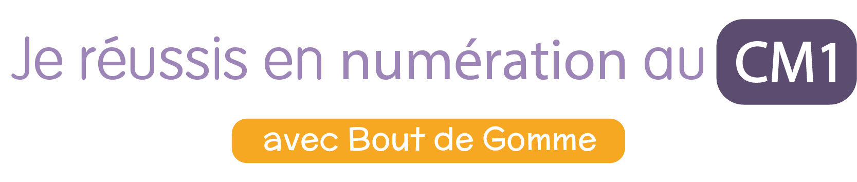 Cahier numeration bout de gomme cm1